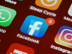 半年内该品类出口额增加4